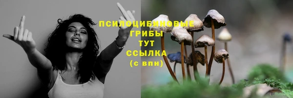 молекула духа Бронницы