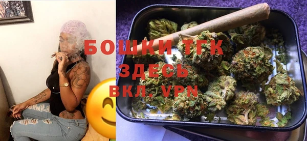 молекула духа Бронницы
