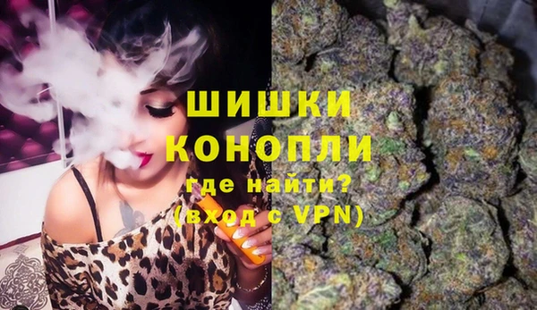 молекула духа Бронницы