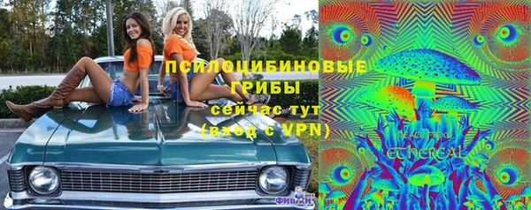 альфа пвп Бородино